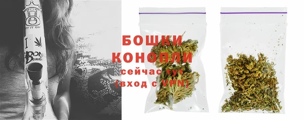 хмурый Корсаков