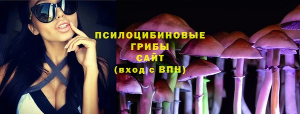 индика Козловка