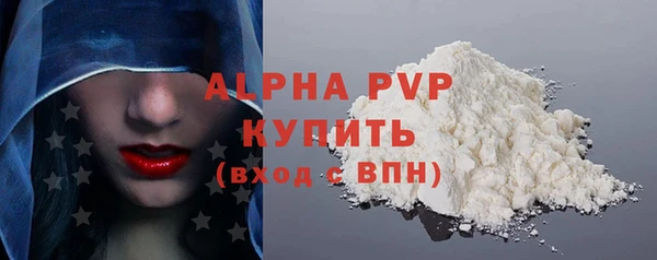 хмурый Корсаков