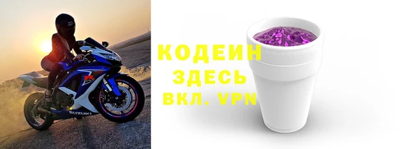 хмурый Корсаков