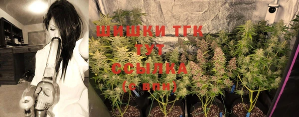 хмурый Корсаков