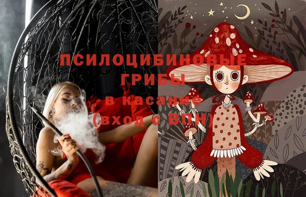 хмурый Корсаков