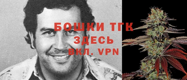 МДПВ Костерёво
