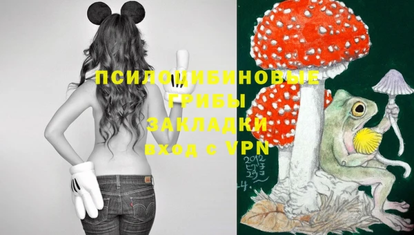 герыч Коряжма