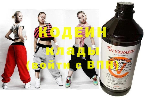 хмурый Корсаков