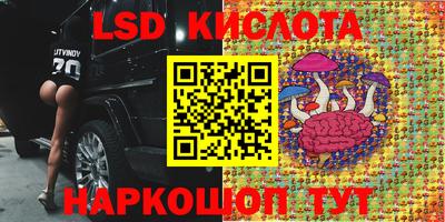 а пвп мука Камышлов