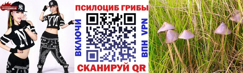 Псилоцибиновые грибы ЛСД  Кисловодск 