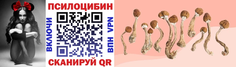 Галлюциногенные грибы Psilocybe Кисловодск