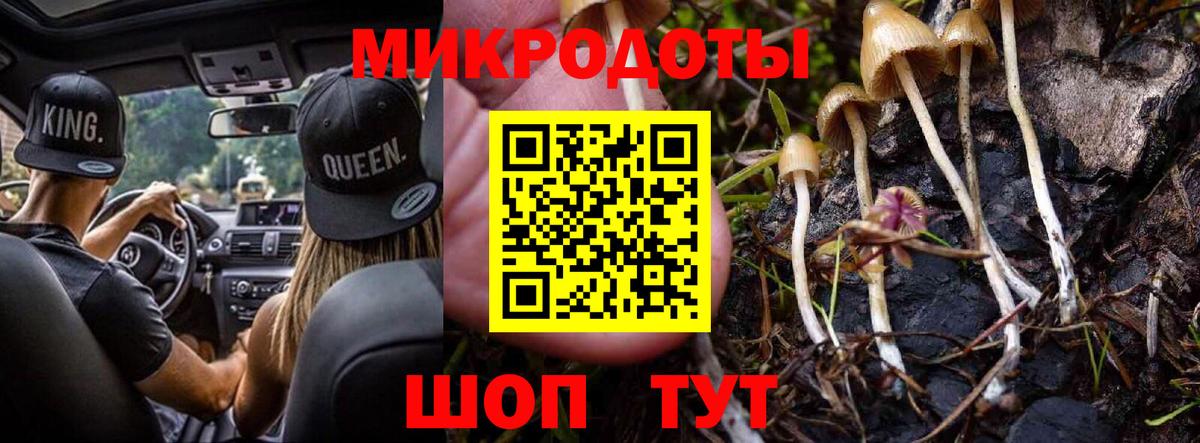 Галлюциногенные грибы Cubensis  Вход с VPN  Кисловодск 